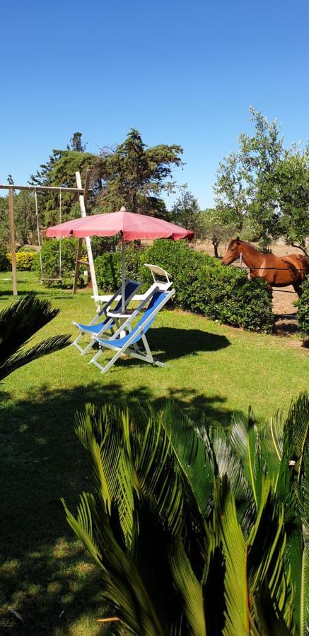Antico Casolare Sorso-Tourist Rental Kültér fotó