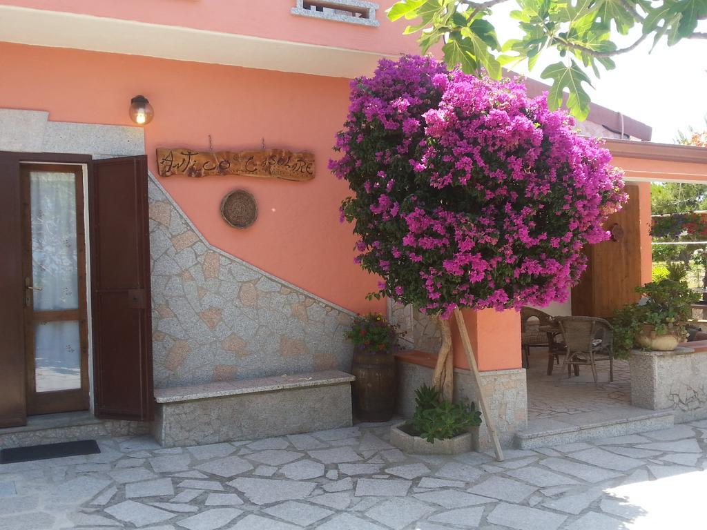 Antico Casolare Sorso-Tourist Rental Kültér fotó