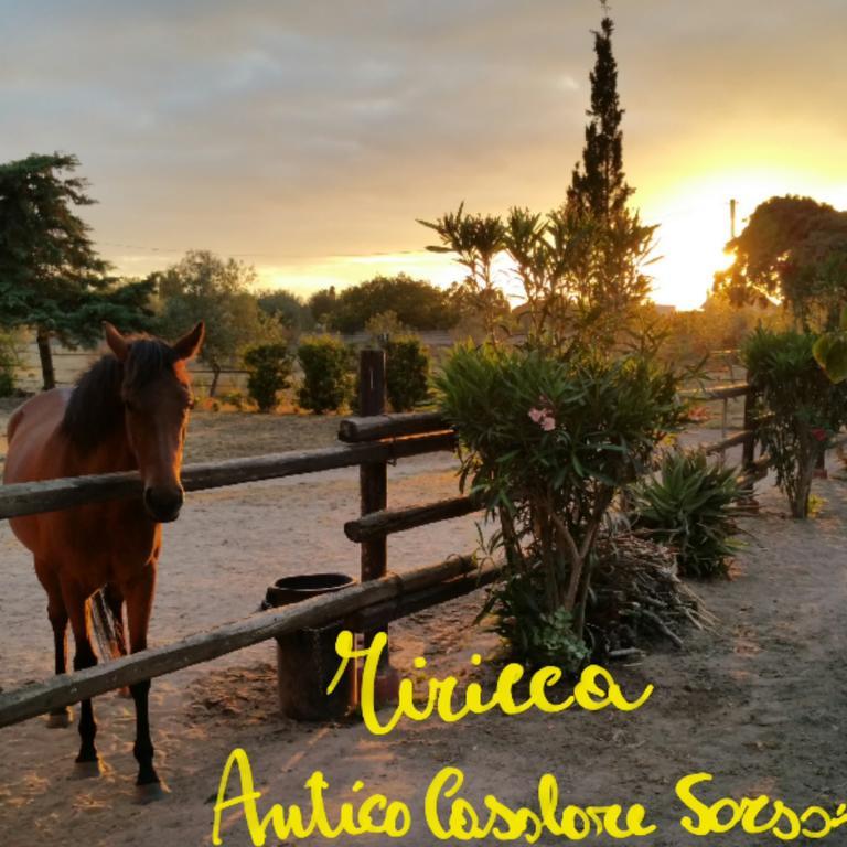 Antico Casolare Sorso-Tourist Rental Kültér fotó